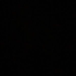 Meet your Posher, Annmarie